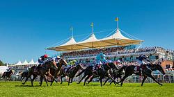 Goodwood Horse Racing
