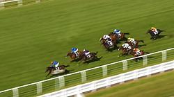 Flat Races Highlights