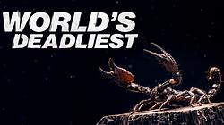 World's Deadliest Compilations
