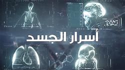 Secrets Of The Body