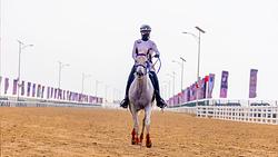 Sheikh Zayed Bin Mansour Endurance Cup