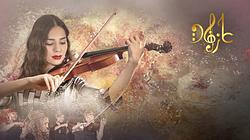 Instrumentalists