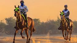 119 Km Seeh Al Salam Endurance Challenge – Open