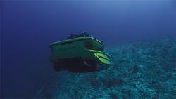 OceanXplorers