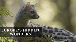 Europe's Hidden Wonders