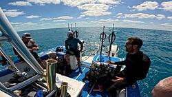 Fighting Giant Grouper in Key West