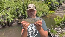 River Trout in the Pacific Northwest