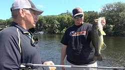 Big Stone's Gills & Bass