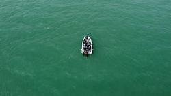 Torch Lake Atlantic Salmon