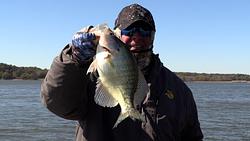 Hair Jig Crappie Crush