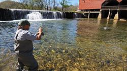 Fly Rod Rainbows