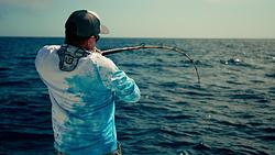 Pulley Ridge and Another Grouper of a Lifetime