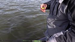 Lake Whitney Crappie Hunt