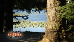 Alaska's Wild Gourmet S1 E01 - Family Affair -SEG2