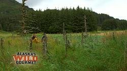 Alaska's Wild Gourmet S1 E02 - Surfer's Delight - SEG2