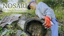 Nosari: Gifts from Mountain Gods