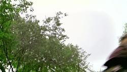 Fight To Survive S1 EP8 - Tree Stand Fall - SEG2
