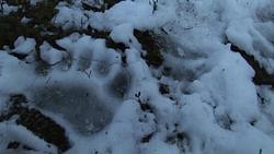 Nordic Wild Hunter S1 Ep23