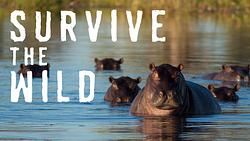 Survive the Wild